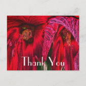 赤いハイビスカスの抽象的な花の感謝カード ポストカード (正面)