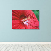 赤いハイビスカスの花と雨滴写真 キャンバスプリント (インサイチュ (ウッドフロア))