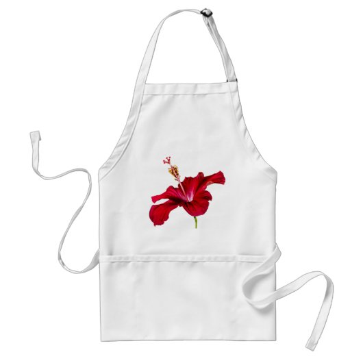 赤いハイビスカスの花の横から見た図 スタンダードエプロン (正面)