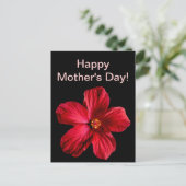 赤いハイビスカスの花 ポストカード (スタンド正面)