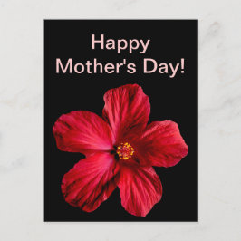 赤いハイビスカスの花 ポストカード