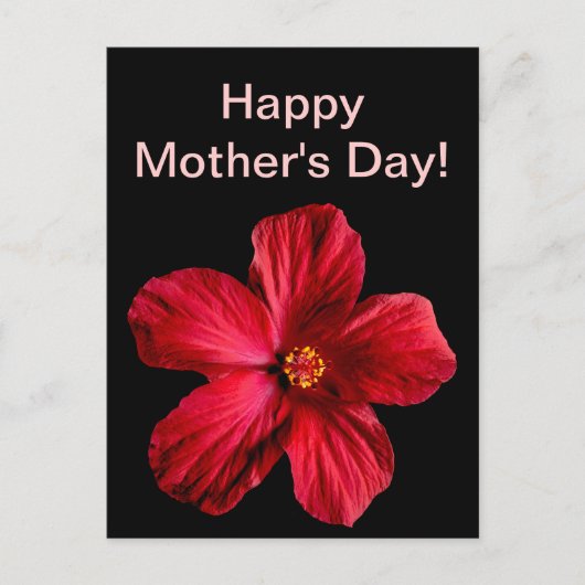 赤いハイビスカスの花 ポストカード (正面)