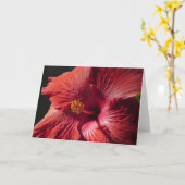 赤いハイビスカスカード カード (黄色い花)
