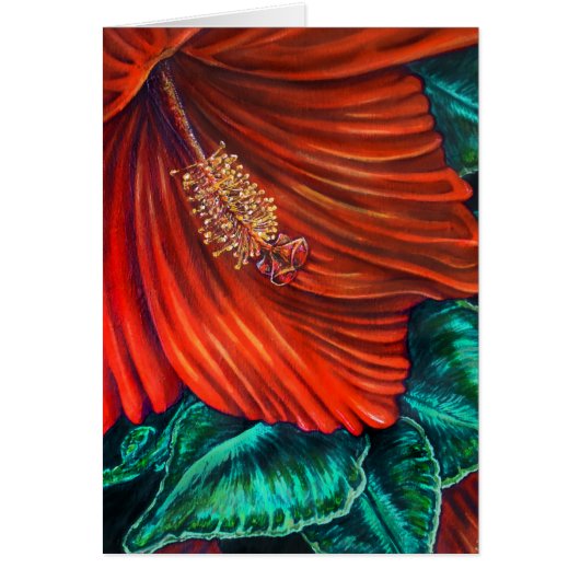 赤いハイビスカスグリーティングカード (正面)