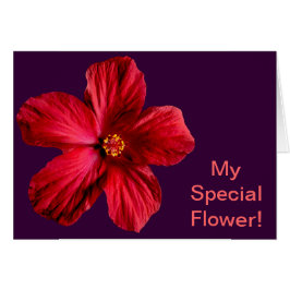 赤いハイビスカスフラワー