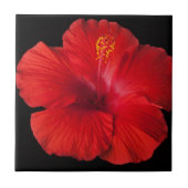 赤いハイビスカス熱帯花のフローラ タイル (正面)