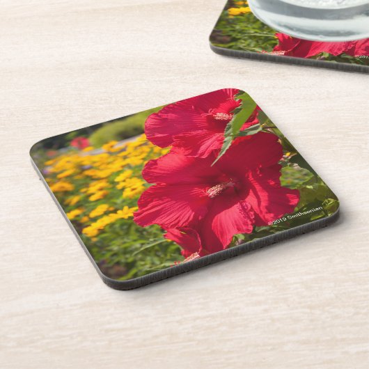 赤いハイビスカス コースター (左側)