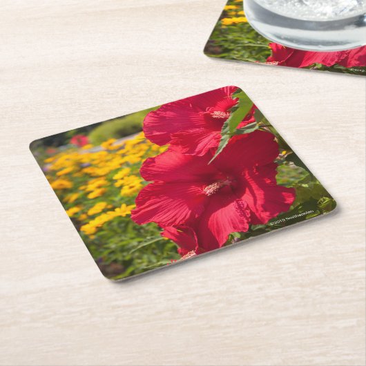 赤いハイビスカス スクエアペーパーコースター (アングル)