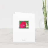 赤いハイビスカス/フローラ/「本当にありがとう」 カード (裏面)