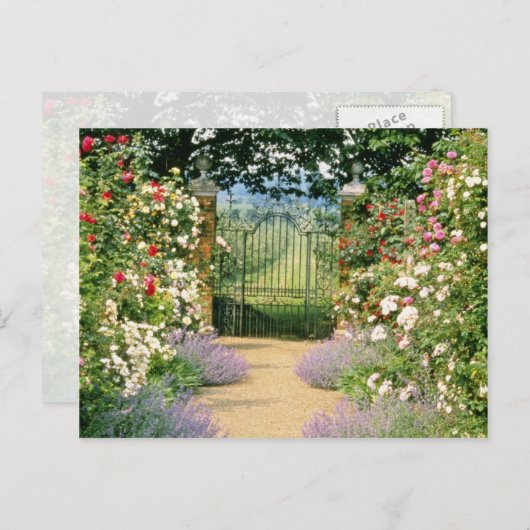 赤いハイブリッドバララインのゲートへのパスは、下に植えられたW ポストカード (正面/裏面)