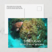 赤いハタinコーラル，トルトゥガスエコロジカルリザーブ ポストカード (正面/裏面)