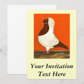 赤いハト 招待状 (正面/裏面)