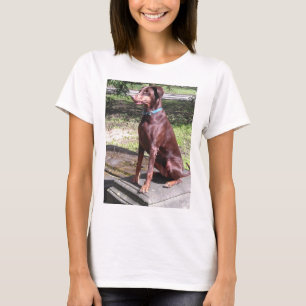赤いハト Tシャツ