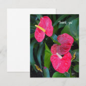 赤いハートアンスリウム工場 サンキューカード (正面/裏面)