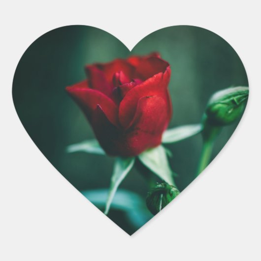 赤いハート1つ ハートシール (正面)