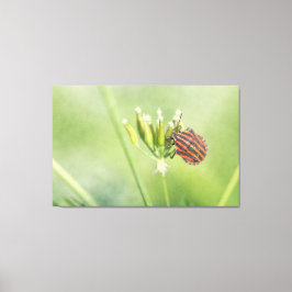 赤いバグ – 1つ以上のボトルが傷つかない キャンバスプリント
