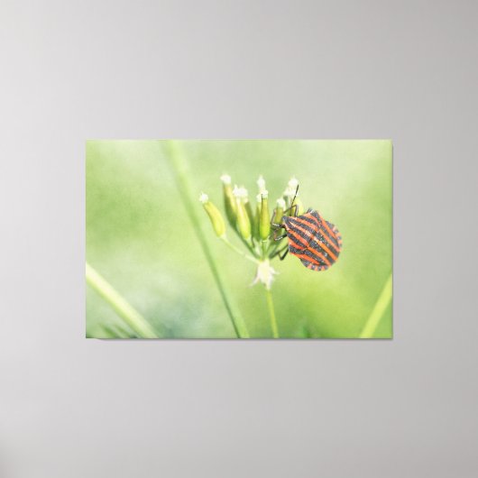 赤いバグ – 1つ以上のボトルが傷つかない キャンバスプリント (正面)