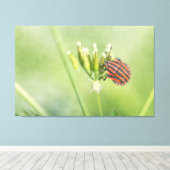 赤いバグ – 1つ以上のボトルが傷つかない キャンバスプリント (インサイチュ (ウッドフロア))