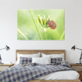 赤いバグ – 1つ以上のボトルが傷つかない キャンバスプリント (インサイチュ (寝室))