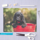 赤いバケツに入った黒い犬の子犬 薄葉紙 (クラフト)