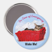 赤いバスケットの可愛い眠る子カスタム猫の写真 マグネット (正面/裏面)