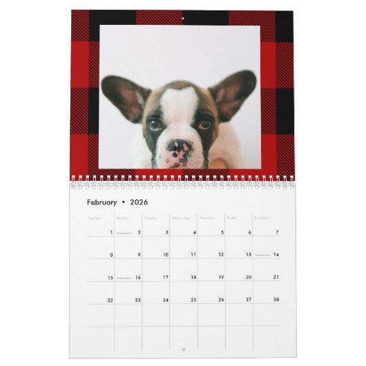 赤いバッファロープライド&メリーウォーフマスと犬の写真 カレンダー (2月 2026)