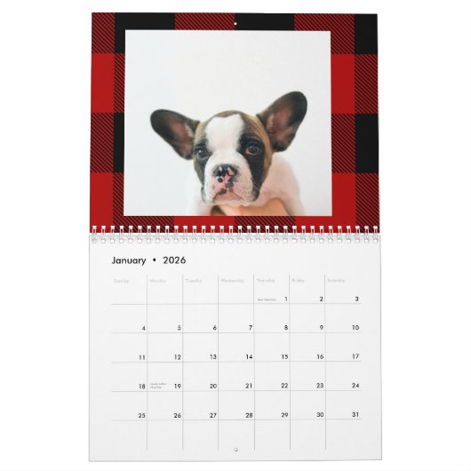 赤いバッファロープライド&メリーウォーフマスと犬の写真 カレンダー (1月 2026)