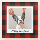 赤いバッファロープライド&メリーウォーフマスと犬の写真 ガラスコースター (正面)