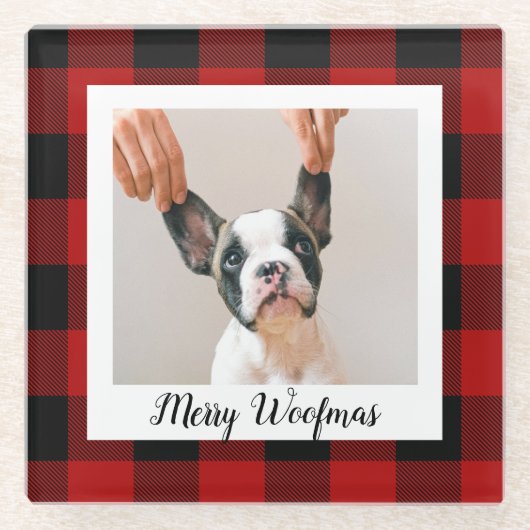 赤いバッファロープライド&メリーウォーフマスと犬の写真 ガラスコースター (正面)
