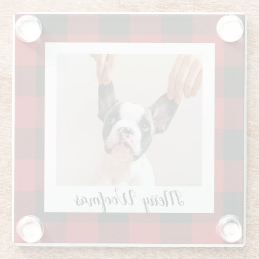 赤いバッファロープライド&メリーウォーフマスと犬の写真 ガラスコースター (裏面)