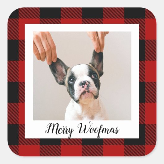 赤いバッファロープライド&メリーウォーフマスと犬の写真 スクエアシール (正面)