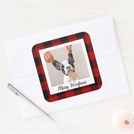赤いバッファロープライド&メリーウォーフマスと犬の写真 スクエアシール (封筒)