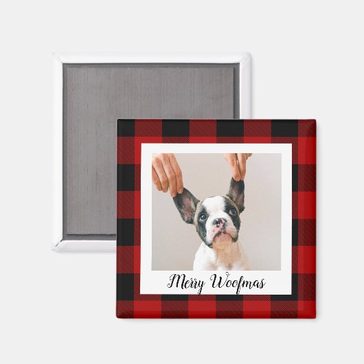 赤いバッファロープライド&メリーウォーフマスと犬の写真 マグネット (正面/裏面)