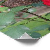 赤いバラがあなたのテキストを追加パーソナライズされた ポスター (角)