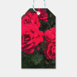 赤いバラが咲いている ギフトタグ