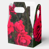 赤いバラが咲いている フェイバーボックス (オープン)