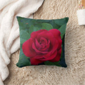 赤いバラが近く クッション (ブランケット)