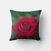 赤いバラが近く クッション (裏面)