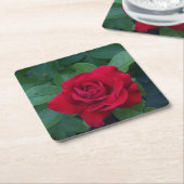 赤いバラが近く スクエアペーパーコースター (アングル)