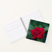 赤いバラが近く ノートブック (内部)