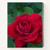 赤いバラが近く ノートブック (裏面)
