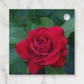 赤いバラが近く フェイバータグ (裏面)