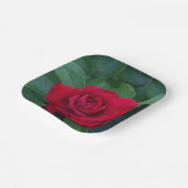 赤いバラが近く ペーパープレート (傾斜あり)