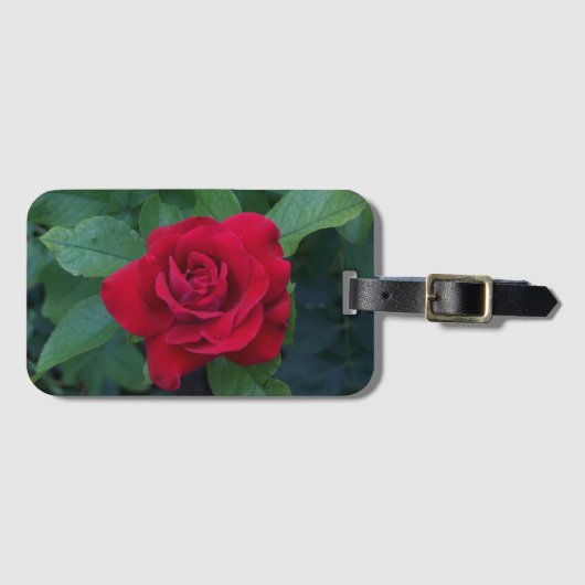 赤いバラが近く ラゲッジタグ (正面横)