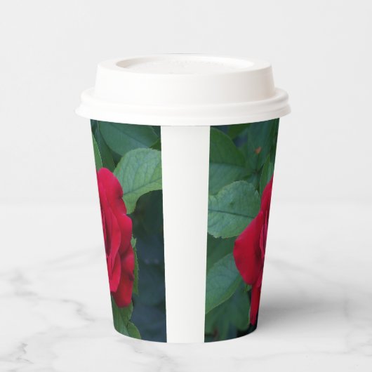 赤いバラが近く 紙コップ (左)