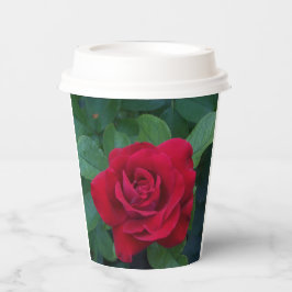 赤いバラが近く 紙コップ