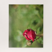 赤いバラにロマンチックな庭 ジグソーパズル (縦)