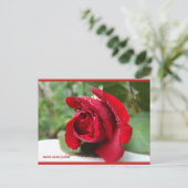 赤いバラに露 | ブルービーチソング™はがき ポストカード (スタンド正面)