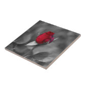 赤いバラのつぼみのタイル タイル (側面)