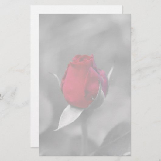 赤いバラのつぼみの文房具 便箋 (正面/裏面)